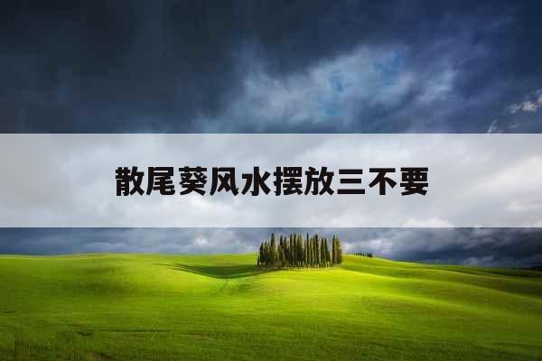 散尾葵风水摆放三不要