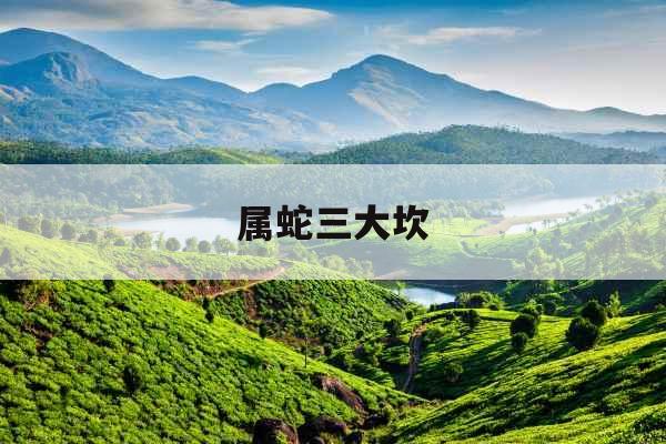 属蛇三大坎 属蛇三大坎