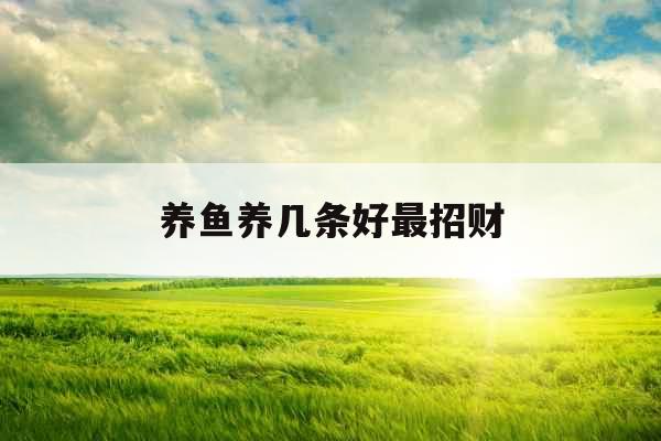 养鱼养几条好最招财 养鱼养几条好最招财