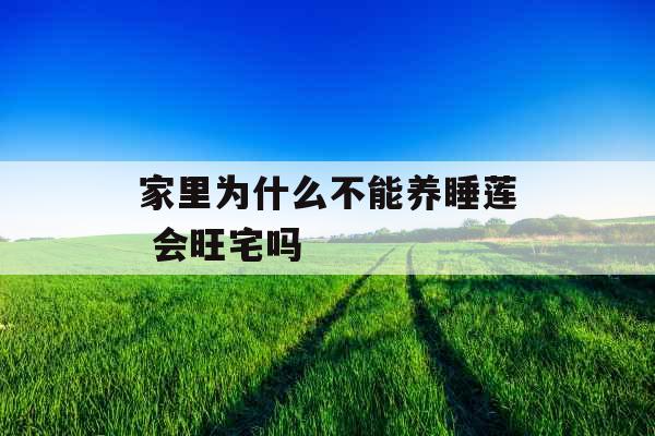 家里为什么不能养睡莲 会旺宅吗