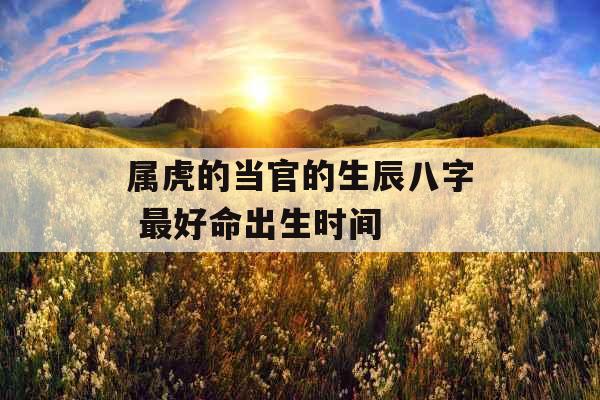 属虎的当官的生辰八字 最好命出生时间