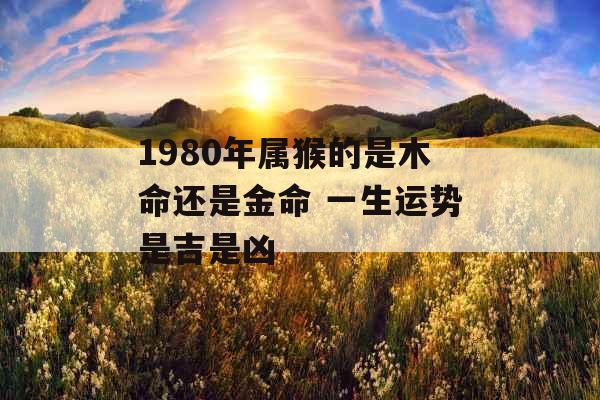 1980年属猴的是木命还是金命 一生运势是吉是凶