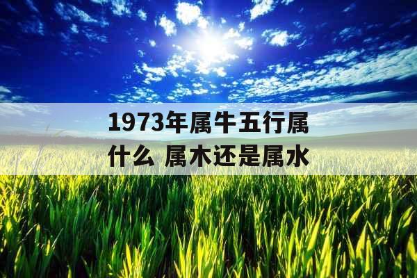 1973年属牛五行属什么 属木还是属水 1973年属牛五行属什么 属木还是属水