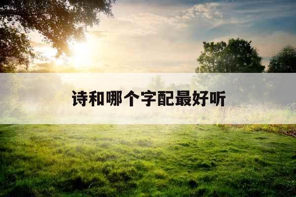 诗和哪个字配最好听 诗和哪个字配最好听