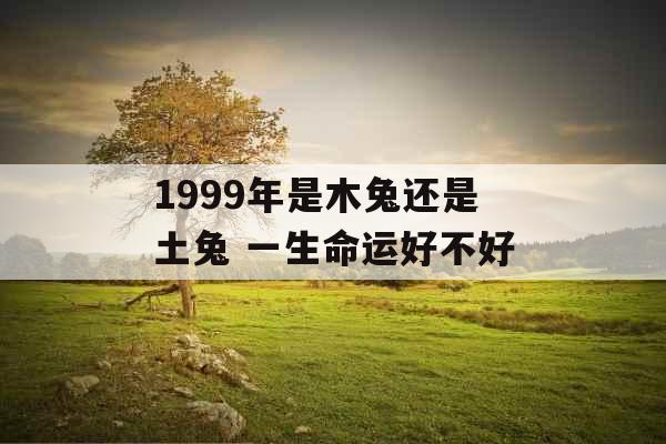 1999年是木兔还是土兔 一生命运好不好 1999年是木兔还是土兔 一生命运好不好