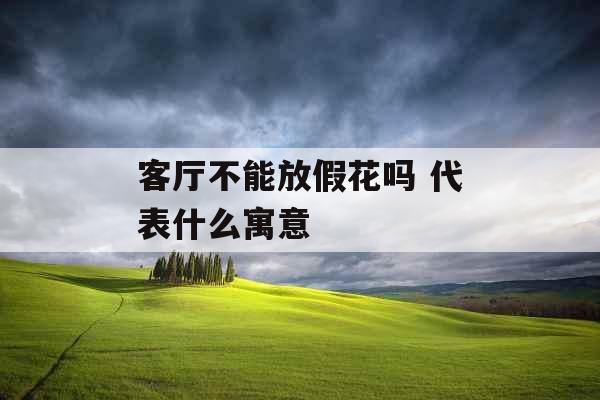 客厅不能放假花吗 代表什么寓意