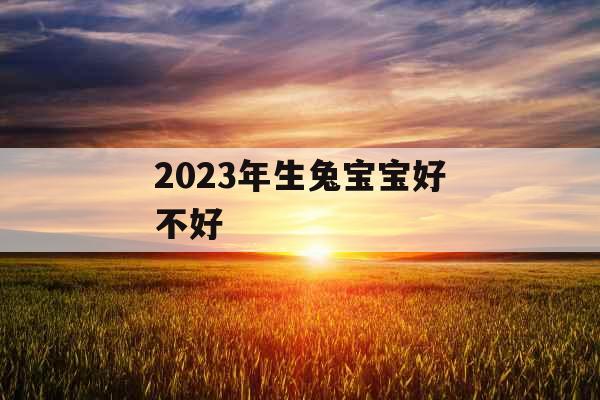 2023年生兔宝宝好不好