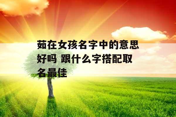 茹在女孩名字中的意思好吗 跟什么字搭配取名最佳