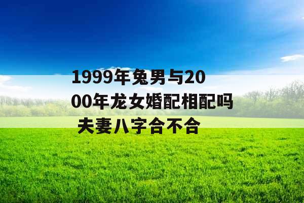 1999年兔男与2000年龙女婚配相配吗 夫妻八字合不合