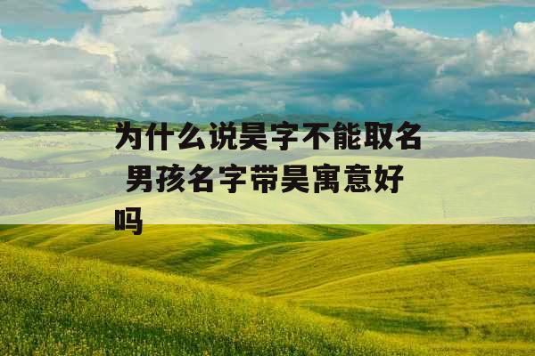 为什么说昊字不能取名 男孩名字带昊寓意好吗 为什么说昊字不能取名 男孩名字带昊寓意好吗
