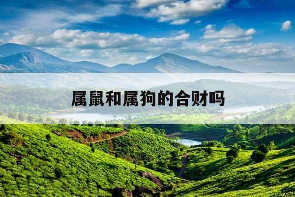 属鼠和属狗的合财吗 属鼠和属狗的合财吗