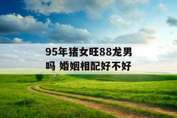 95年猪女旺88龙男吗 婚姻相配好不好 95年猪女旺88龙男吗 婚姻相配好不好