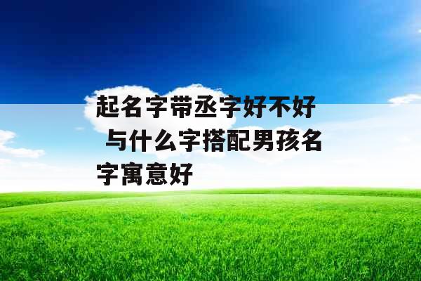 起名字带丞字好不好  与什么字搭配男孩名字寓意好