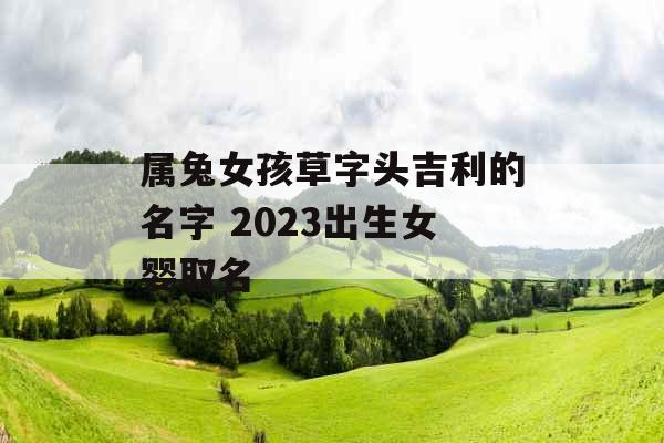 属兔女孩草字头吉利的名字 2023出生女婴取名