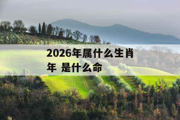 2026年属什么生肖年 是什么命