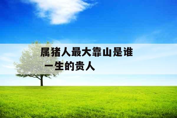 属猪人最大靠山是谁  一生的贵人