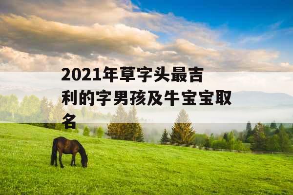 2021年草字头最吉利的字男孩及牛宝宝取名