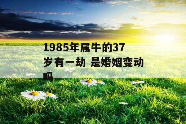 1985年属牛的37岁有一劫 是婚姻变动吗