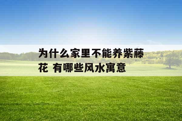 为什么家里不能养紫藤花 有哪些风水寓意