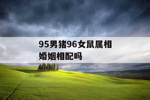 95男猪96女鼠属相婚姻相配吗 95男猪96女鼠属相婚姻相配吗