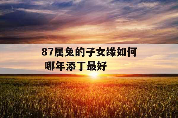 87属兔的子女缘如何 哪年添丁最好