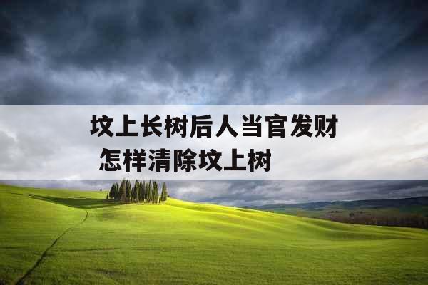 坟上长树后人当官发财 怎样清除坟上树