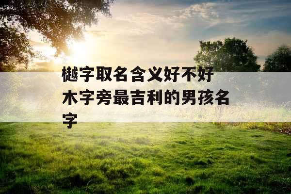 樾字取名含义好不好 木字旁最吉利的男孩名字 樾字取名含义好不好 木字旁最吉利的男孩名字