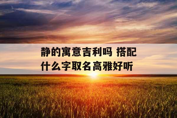 静的寓意吉利吗 搭配什么字取名高雅好听