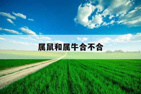 属鼠和属牛合不合