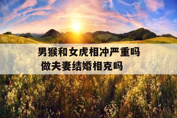 男猴和女虎相冲严重吗 做夫妻结婚相克吗 男猴和女虎相冲严重吗 做夫妻结婚相克吗