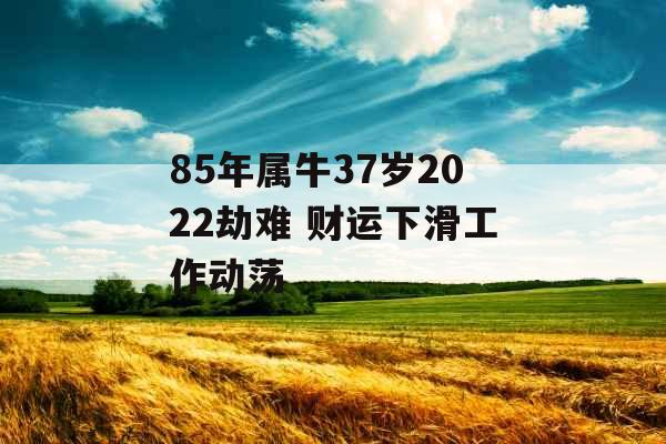 85年属牛37岁2022劫难 财运下滑工作动荡