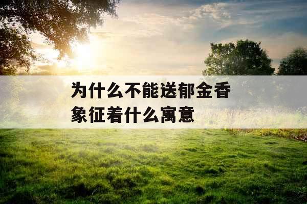 为什么不能送郁金香 象征着什么寓意 为什么不能送郁金香 象征着什么寓意
