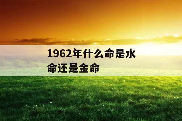 1962年什么命是水命还是金命 1962年什么命是水命还是金命