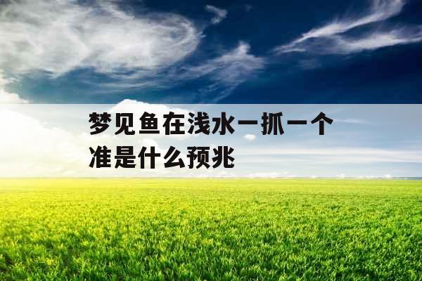 梦见鱼在浅水一抓一个准是什么预兆 梦见鱼在浅水一抓一个准是什么预兆