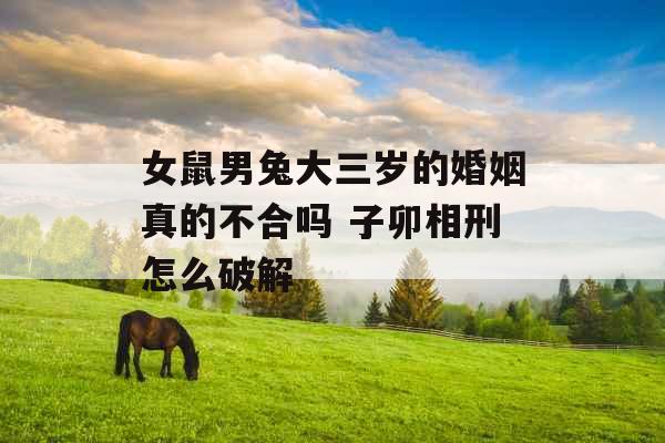 女鼠男兔大三岁的婚姻真的不合吗 子卯相刑怎么破解