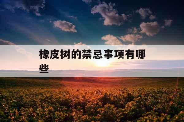 橡皮树的禁忌事项有哪些 橡皮树的禁忌事项有哪些