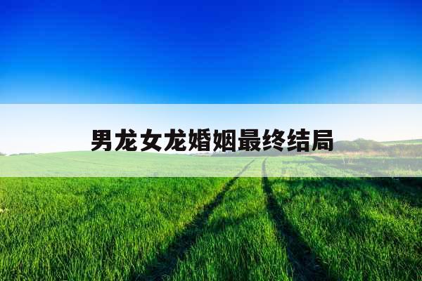 男龙女龙婚姻最终结局