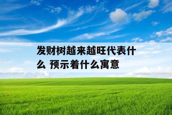 发财树越来越旺代表什么 预示着什么寓意
