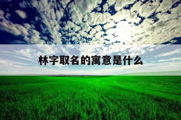 林字取名的寓意是什么