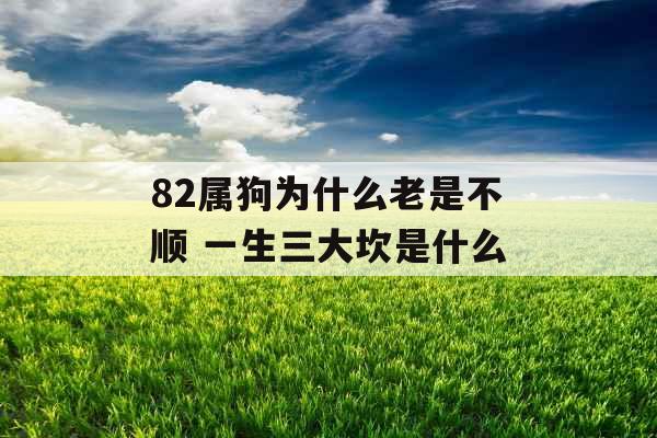 82属狗为什么老是不顺 一生三大坎是什么