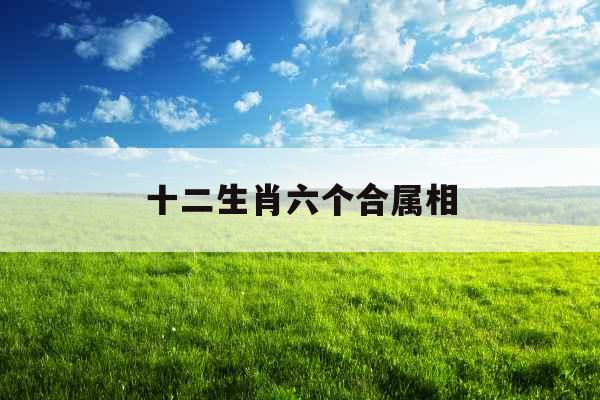 十二生肖六个合属相 十二生肖六个合属相
