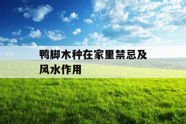 鸭脚木种在家里禁忌及风水作用