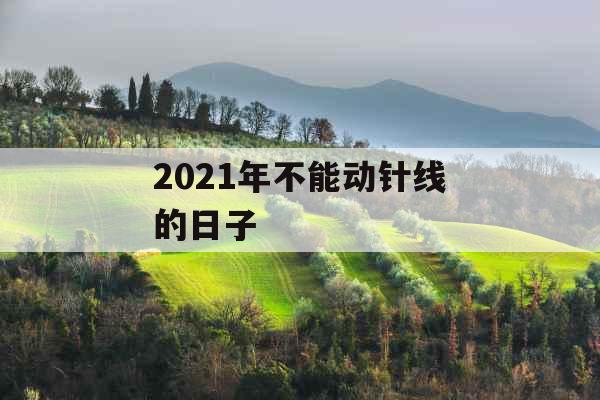 2021年不能动针线的日子