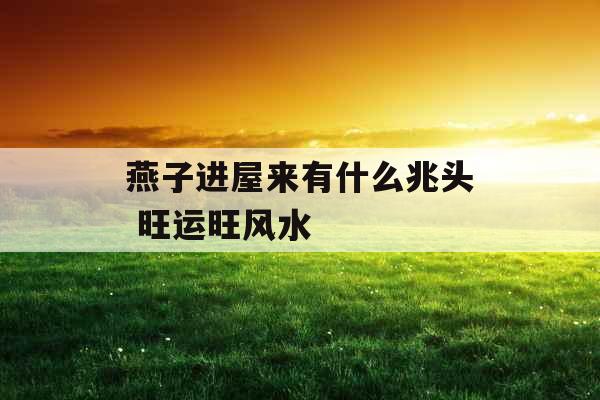 燕子进屋来有什么兆头 旺运旺风水