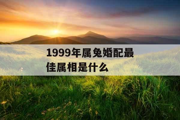 1999年属兔婚配最佳属相是什么