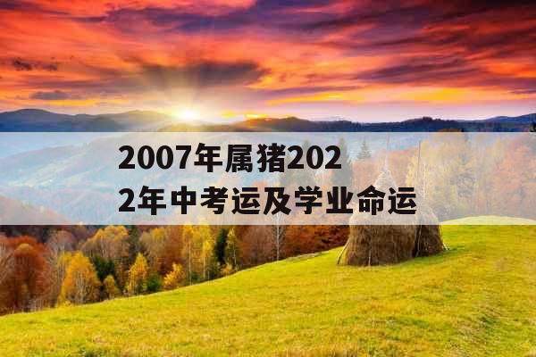 2007年属猪2022年中考运及学业命运