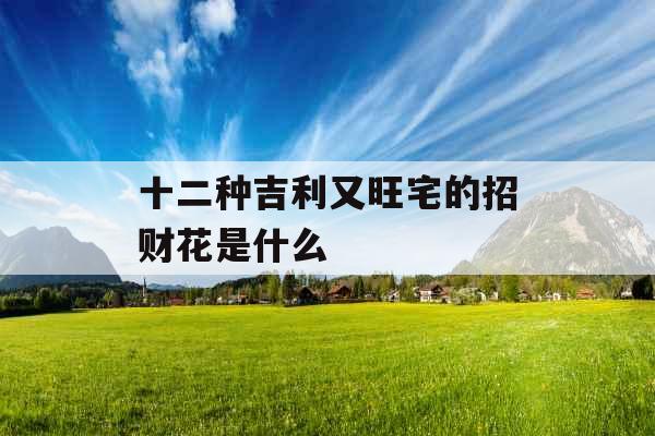 十二种吉利又旺宅的招财花是什么