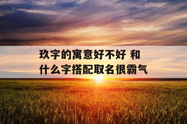玖字的寓意好不好 和什么字搭配取名很霸气 玖字的寓意好不好 和什么字搭配取名很霸气