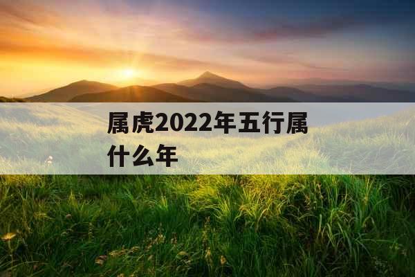 属虎2022年五行属什么年