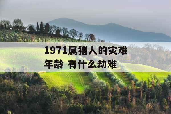1971属猪人的灾难年龄 有什么劫难